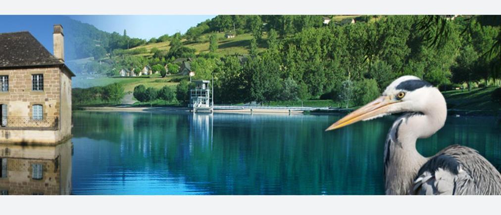En Toute Quietude Lissac-sur-Couze Esterno foto